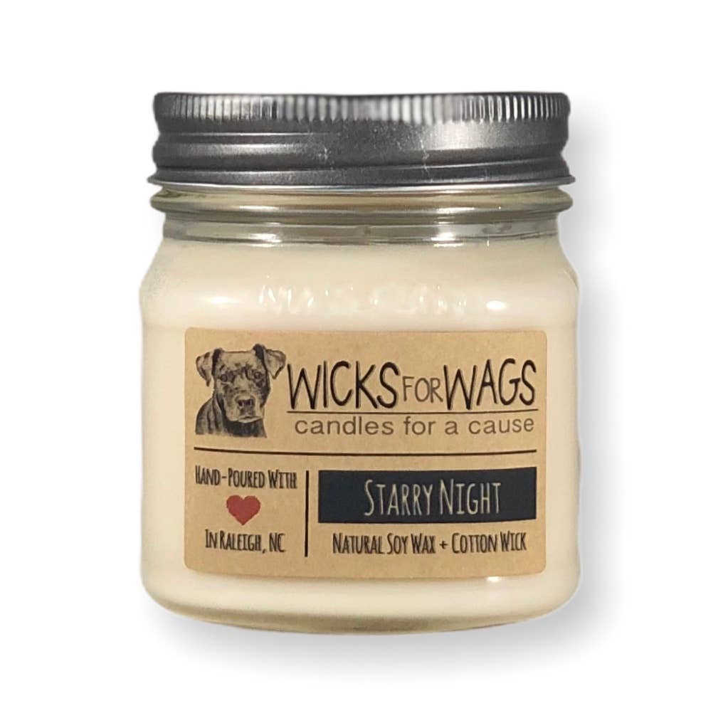 Starry Night | 8 oz Candle | Mason Jar Soy Candle