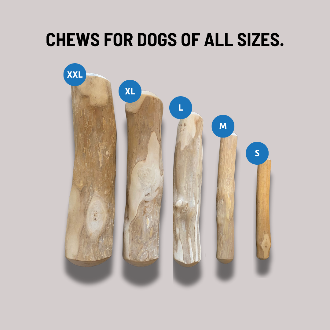 Original Chew