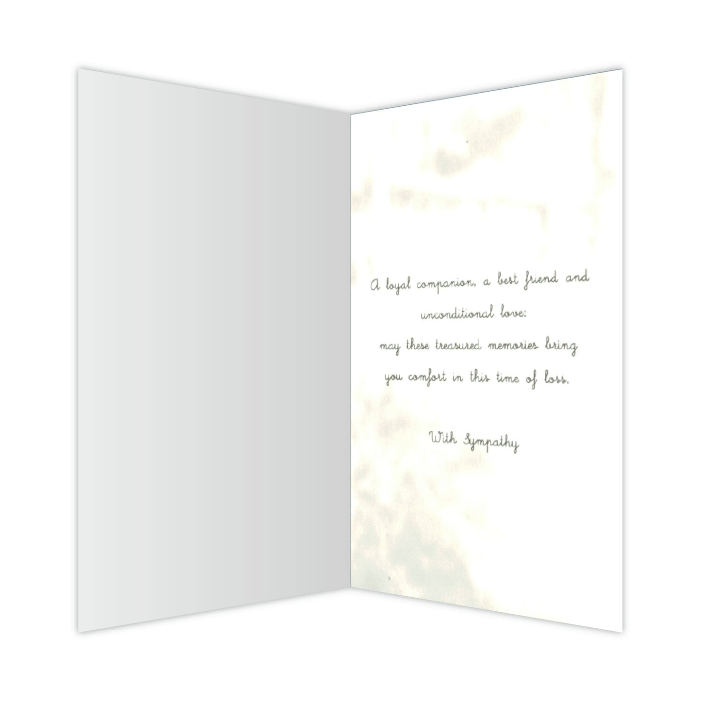 Sympathy - Treasured Memories