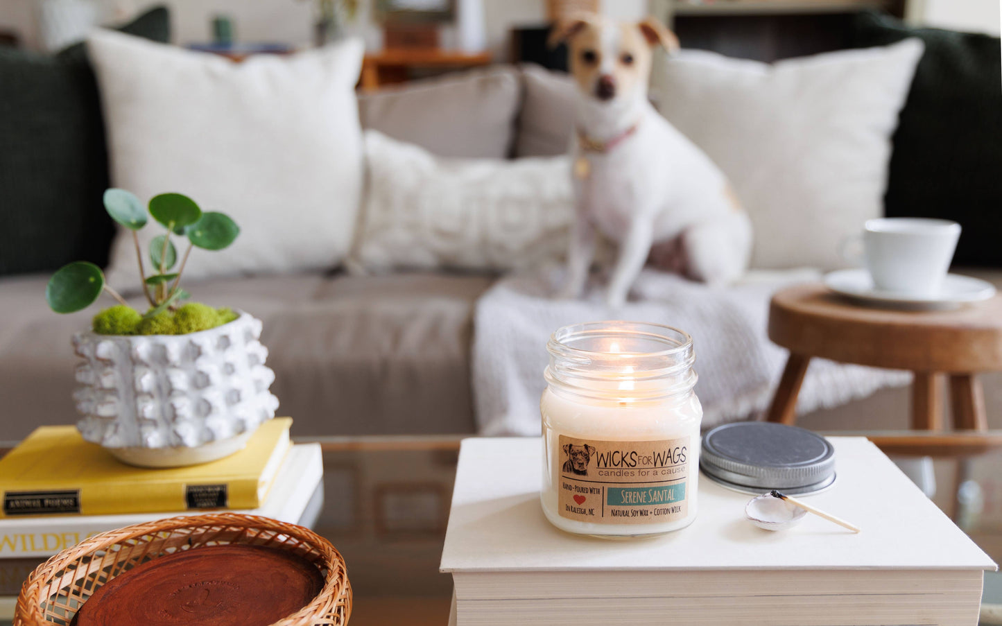 Serene Sandalwood (NEW! Reformulated) | 8oz Candle