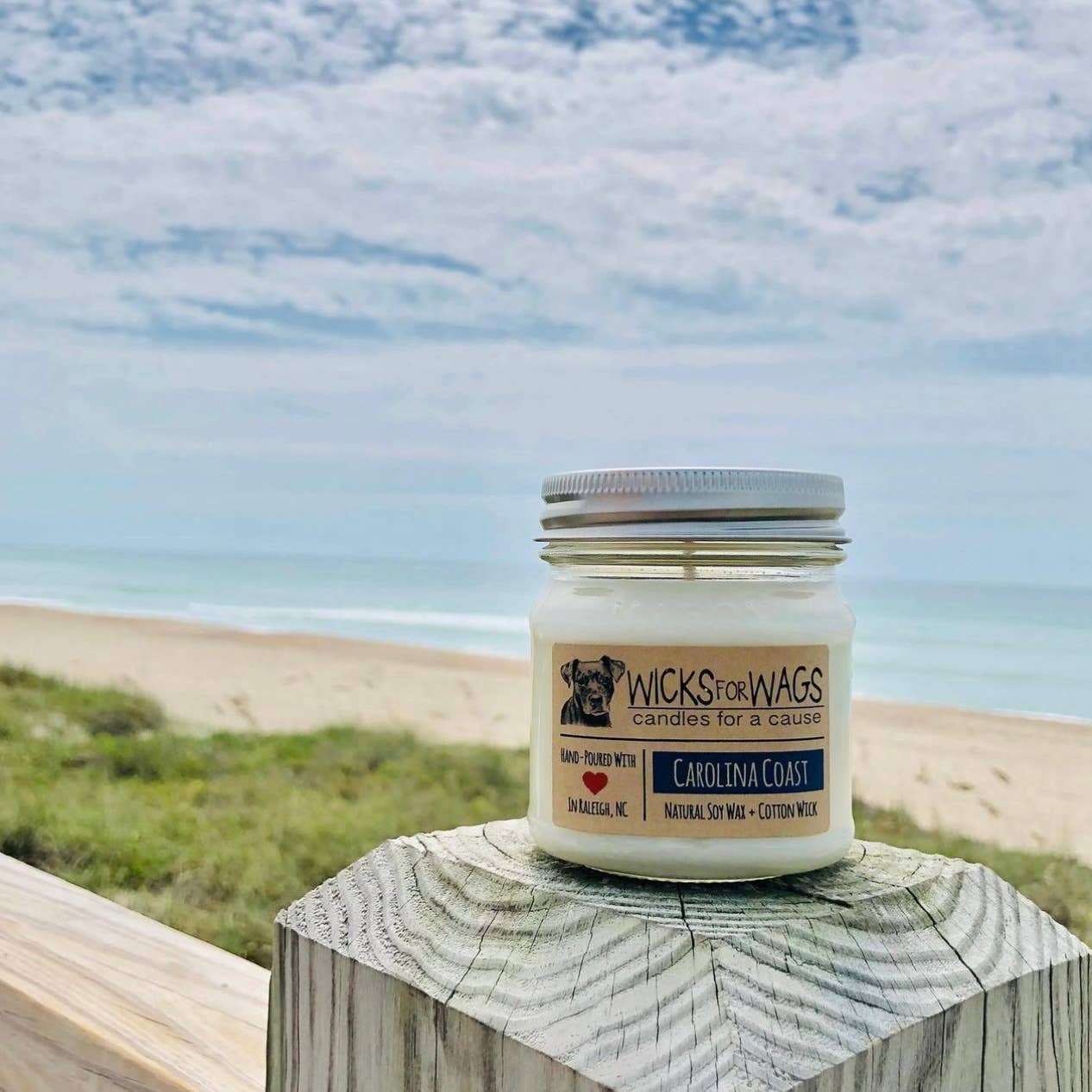 Crystal Coast | 8 oz Candle | Wicks for Wags Soy Candle