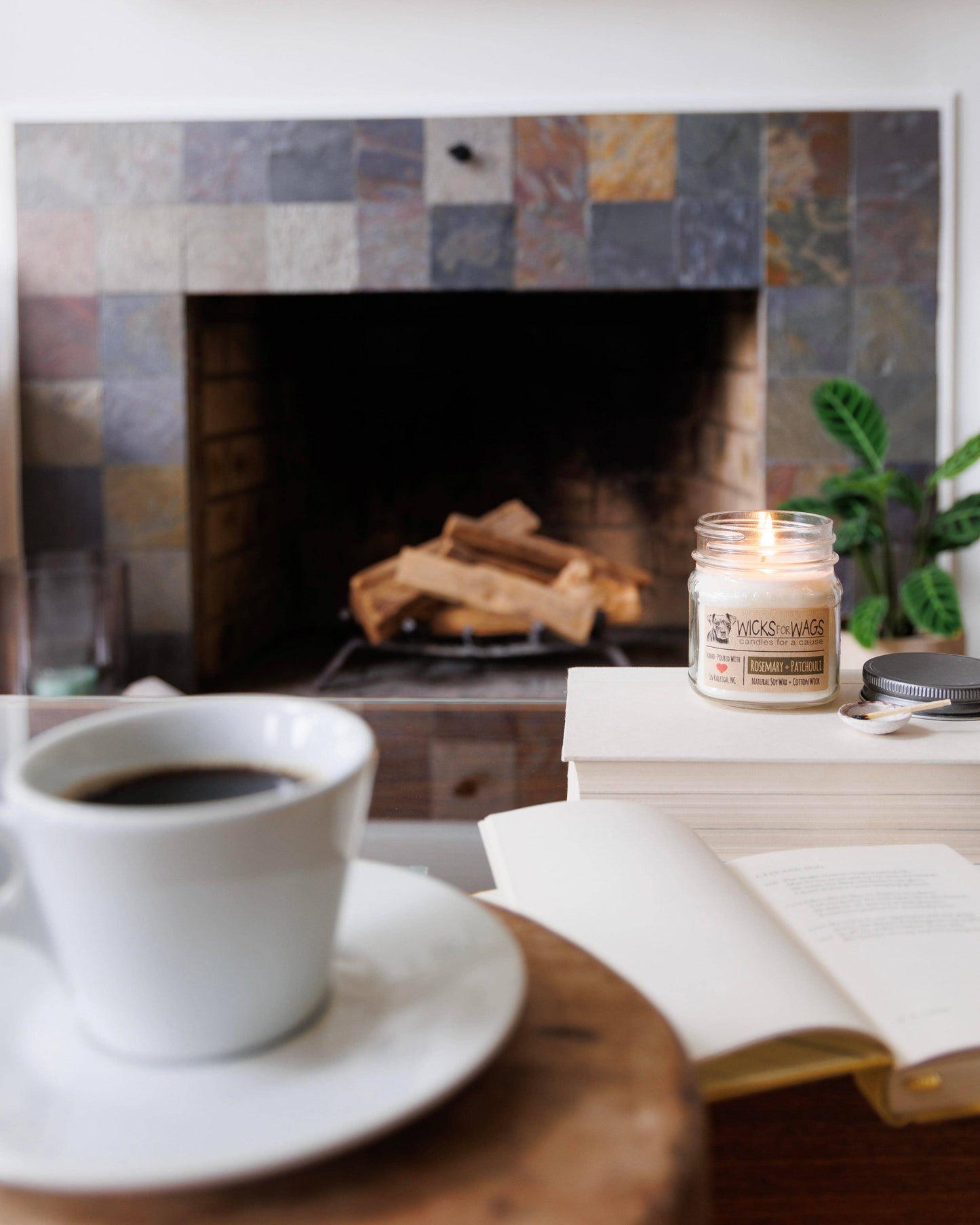 Midnight Blackberry | 8 oz Candle | Wicks for Wags Candle