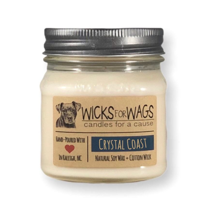 Crystal Coast | 8 oz Candle | Wicks for Wags Soy Candle