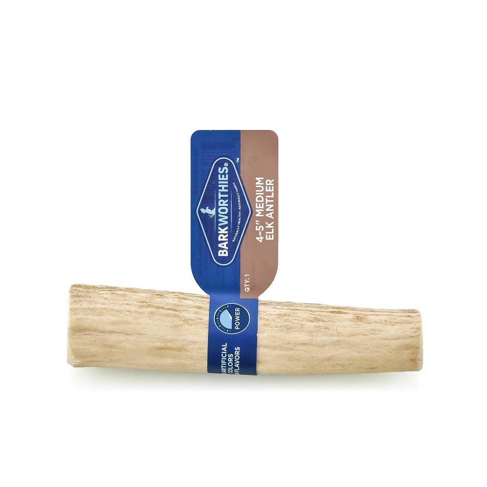 Barkworthies Elk Antler Whole Medium