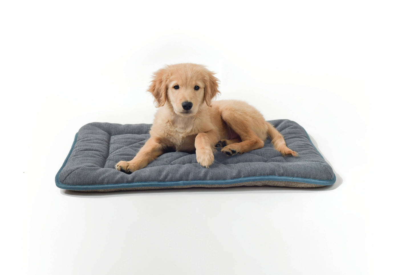 Chenille Sleeper Cushion