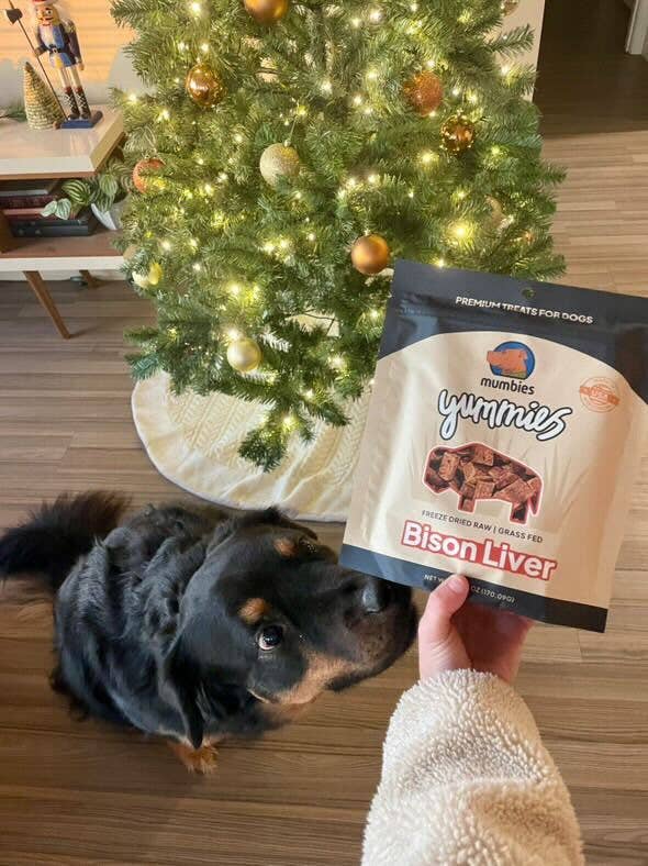 Yummies Bison Liver Treats