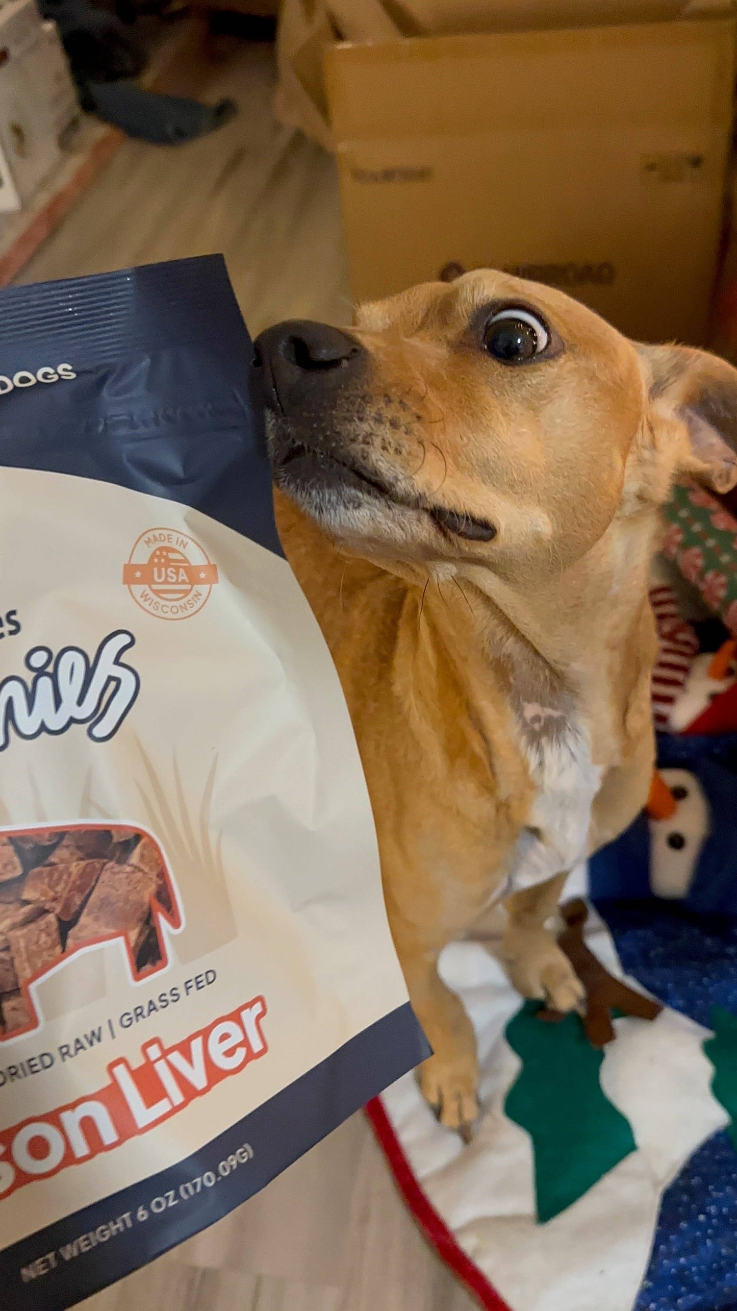 Yummies Bison Liver Treats