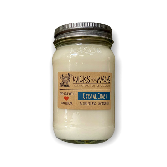 Crystal Coast | 14 oz Candle | Wicks for Wags Soy Candle