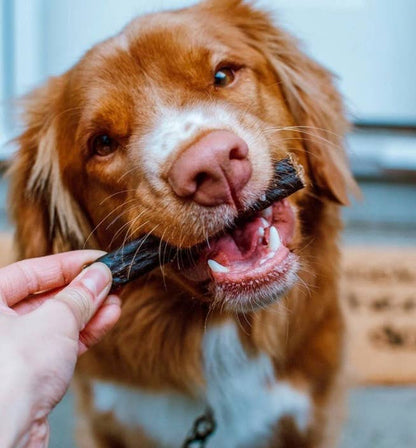 Etta Says! Crunchy Duck Dog 4in