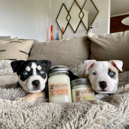 Lemon Pound Cake | 8oz Soy Candle | Mason Jar