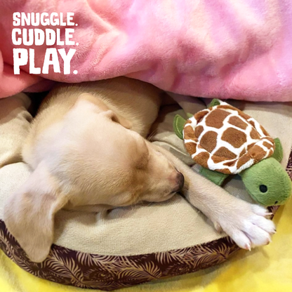 Baby Shelldon Dog Toy