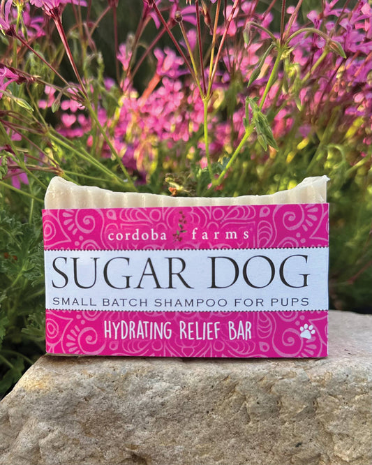 SUGAR DOG
