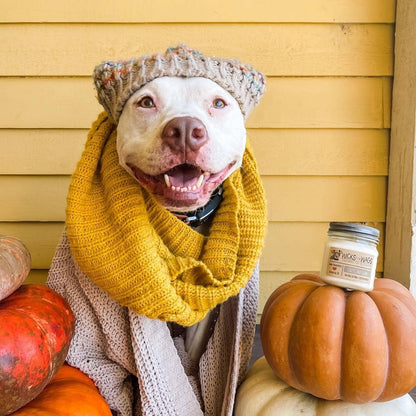 Cozy Cardigan | 8 oz Candle | Mason Jar Soy Candle