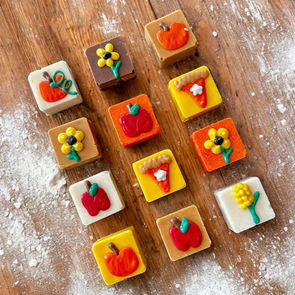 Fun Fall truffles dog treat - soft treats