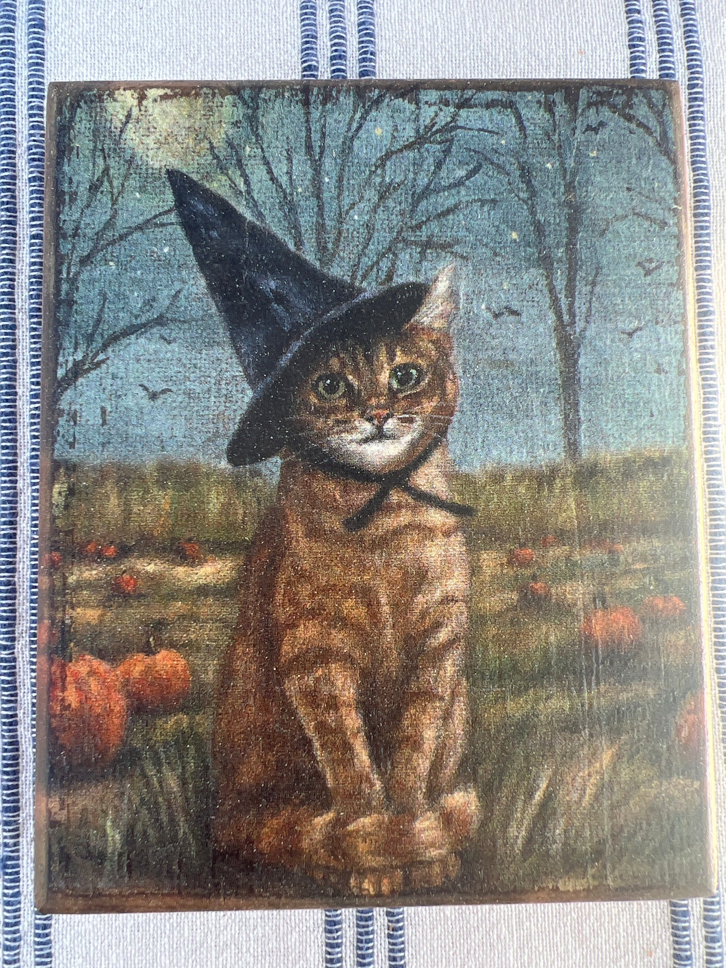 Pet witch sign