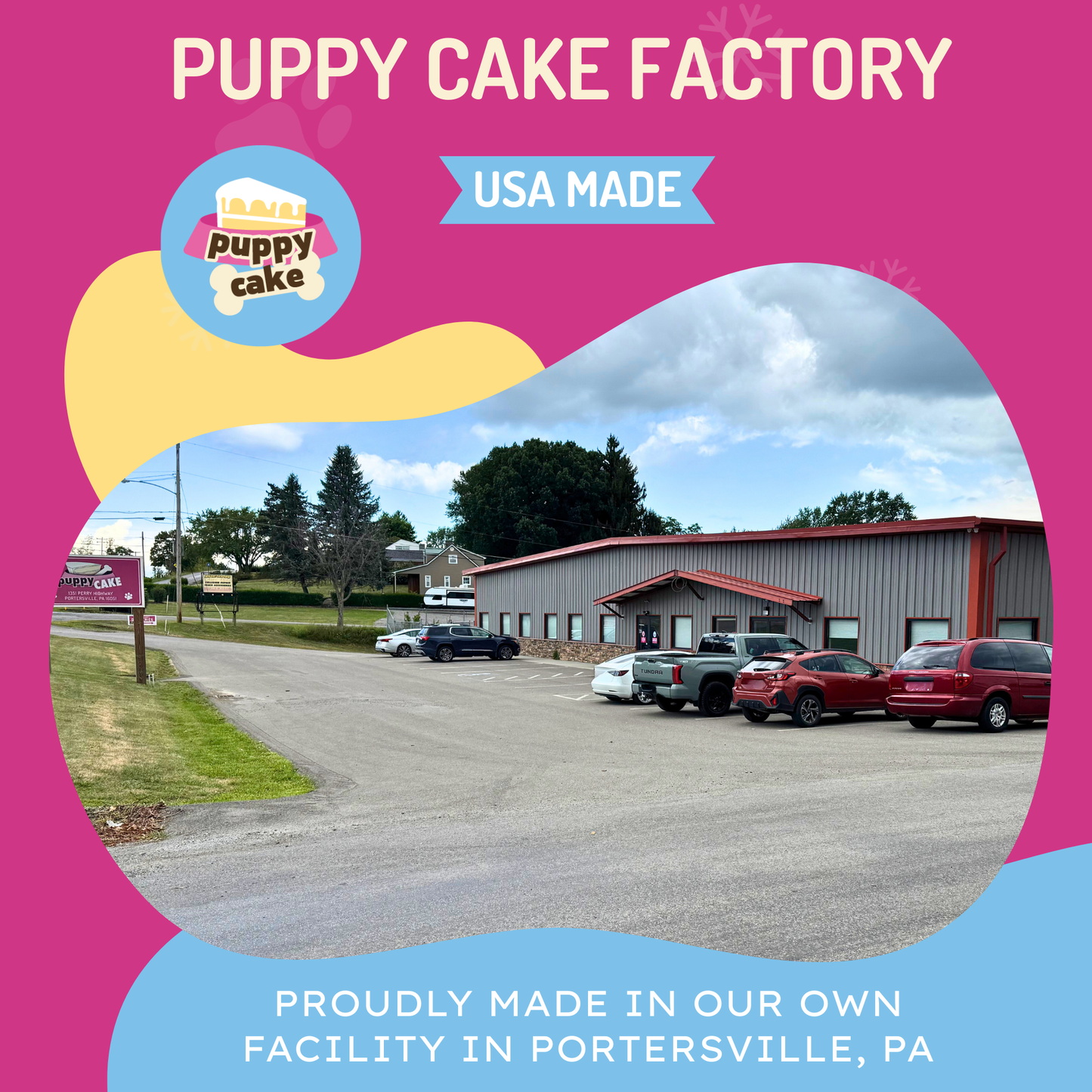 Puppy Scoops Ice Cream Mix for Dogs