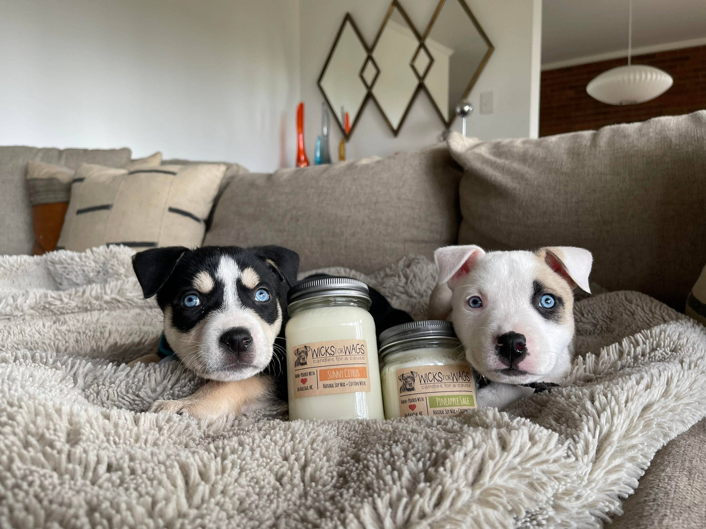 Crystal Coast | 14 oz Candle | Wicks for Wags Soy Candle