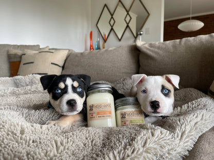 Crystal Coast | 14 oz Candle | Wicks for Wags Soy Candle
