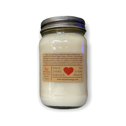 Crystal Coast | 14 oz Candle | Wicks for Wags Soy Candle