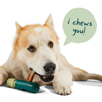 The BullySafe